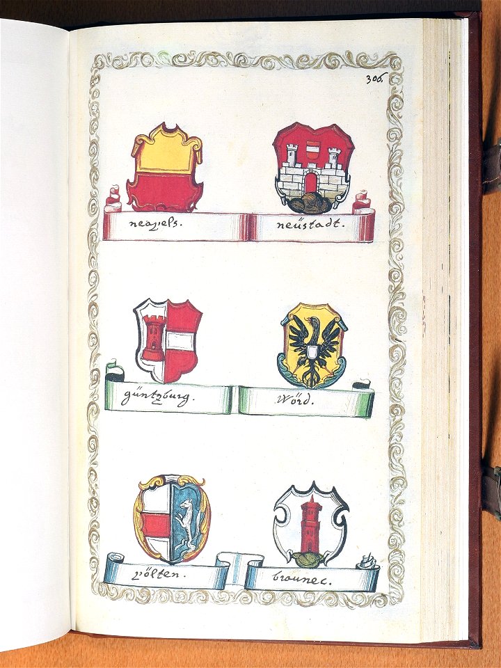 Opus insignium armorumque 306