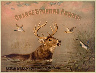 Orange sporting powder. Laflin & Rand Powder Co., New York. c1873 LCCN2004670693