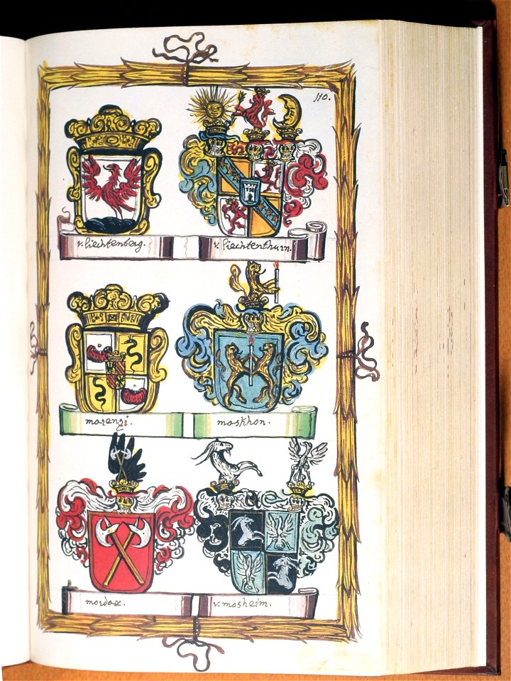Opus insignium armorumque 111