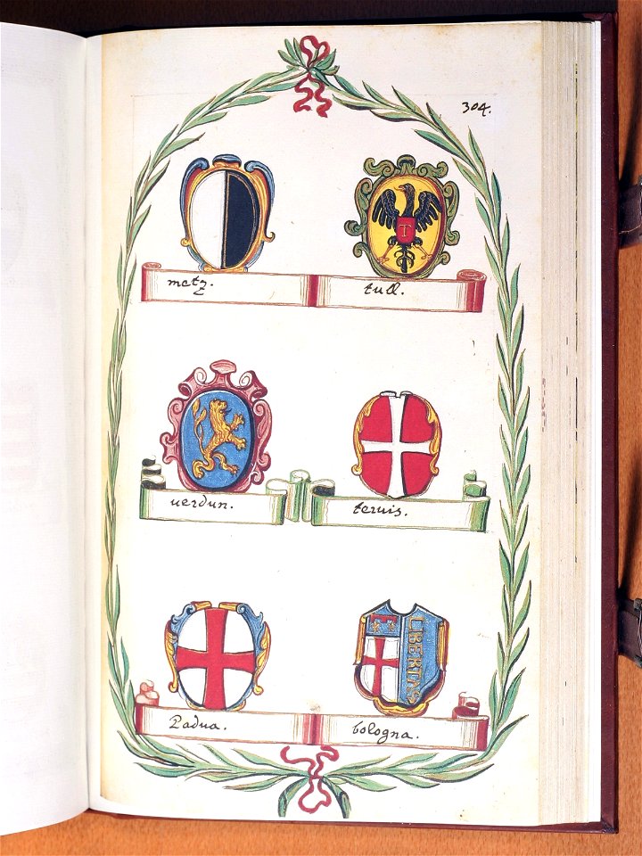 Opus insignium armorumque 304