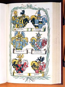 Opus insignium armorumque 224