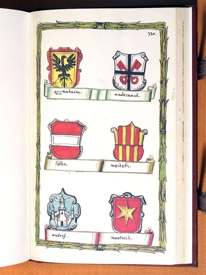 Opus insignium armorumque 330