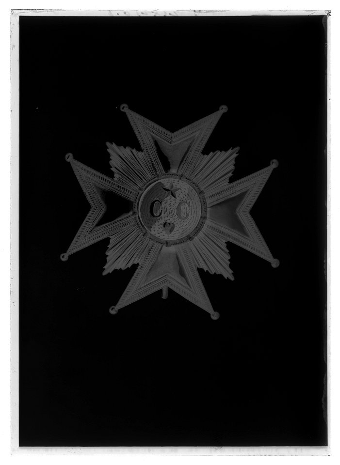 Ordenstecken, kraschan, Neptuni-orden, Sverige - Livrustkammaren - 18659-negative