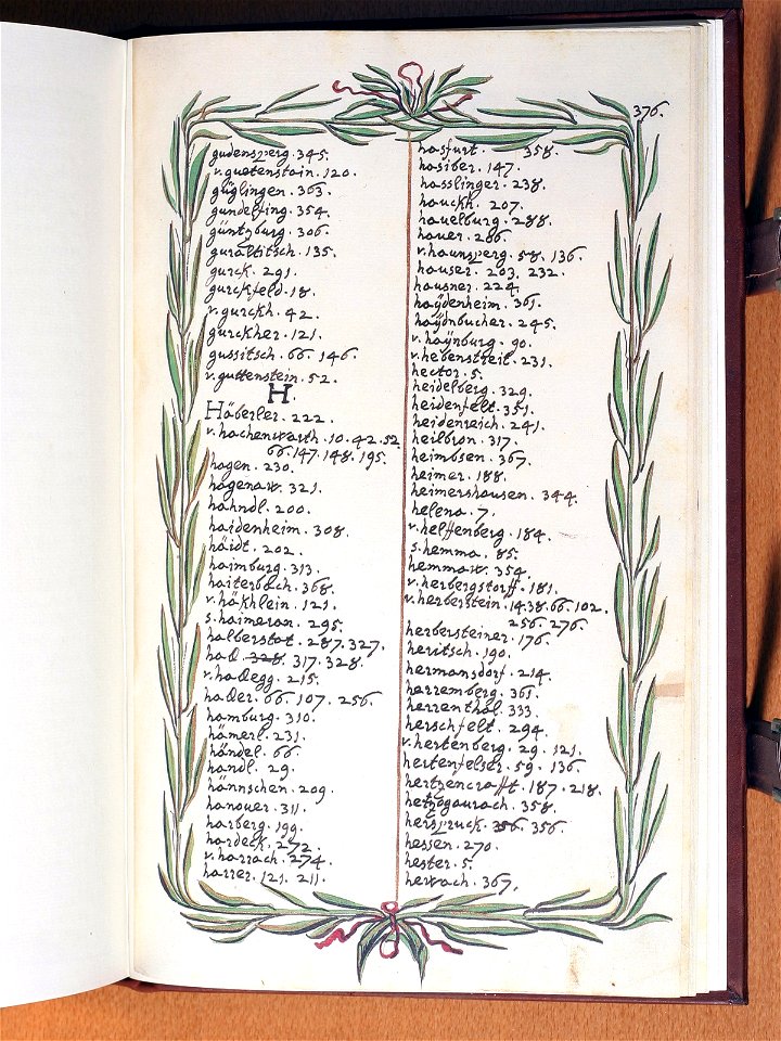 Opus insignium armorumque 376