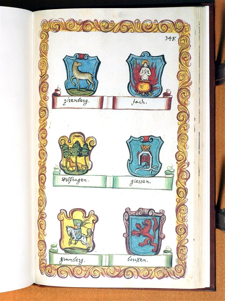 Opus insignium armorumque 348