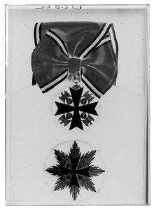 Ordenstecken för kommendör av Tyska örnens orden, Tyskland (1933-1945) - Livrustkammaren - 44306-negative