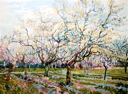 Orchard in Blossom (Plum Trees) - My Dream