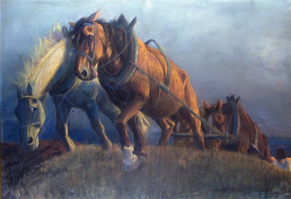 ORKA O ZACHODZIE II 1905