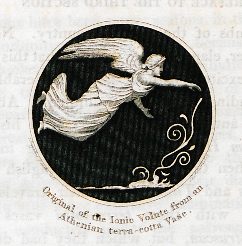 Original of the Ionic Volute from an Athenian terra-cotta Vase (2) - Clarke Edward Daniel - 1816