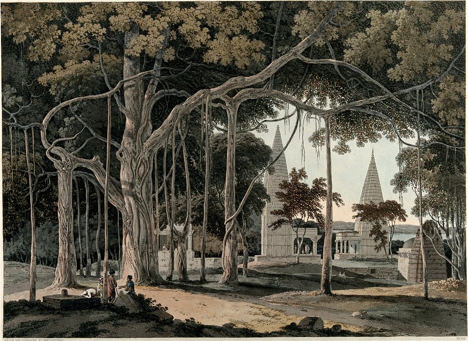 Oriental Scenery Fig 19