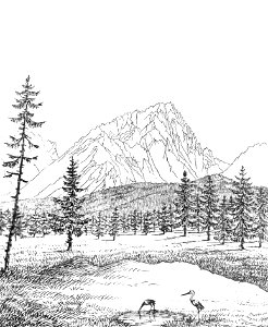 Page127-PL Stęczyński-Tatry w dwudziestu czterech obrazach - Góra Kotła