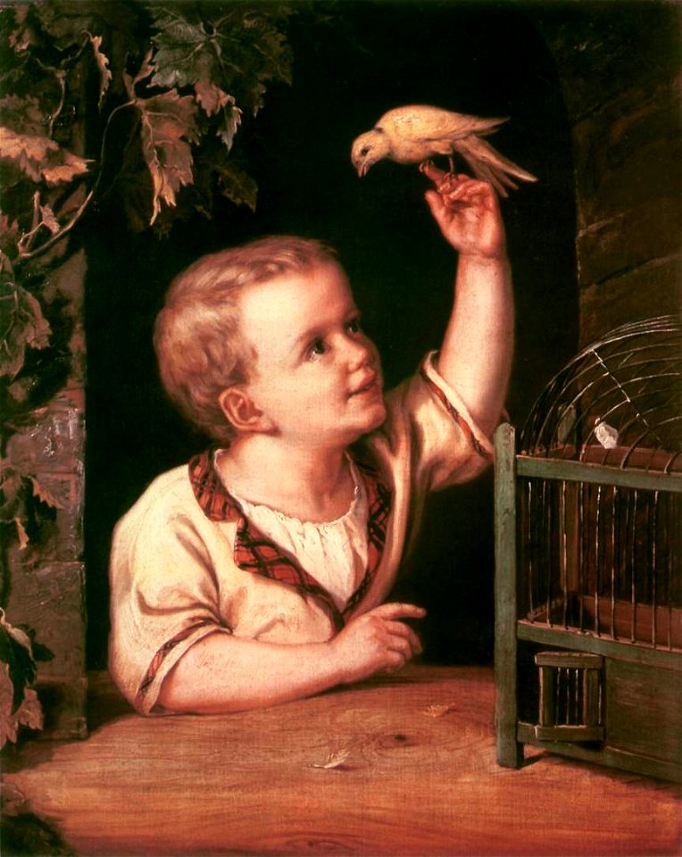 Orlai Árpád Mihálkovics 1856
