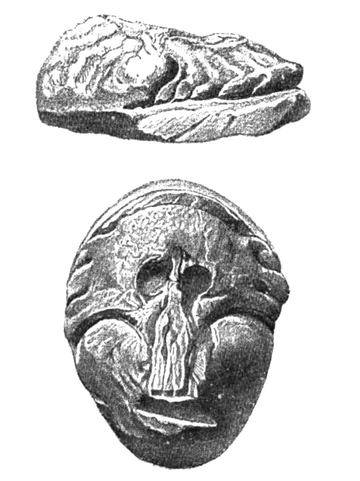 Origin of Vertebrates Fig 136