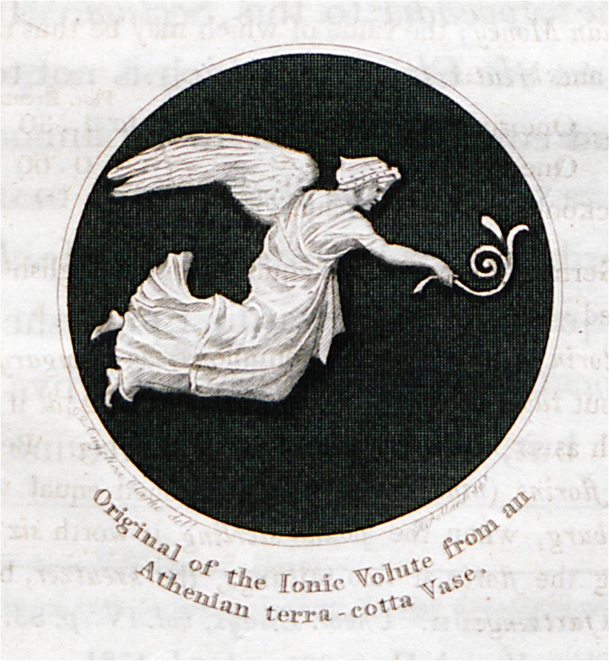 Original of the Ionic Volute from an Athenian terra-cotta Vase - Clarke Edward Daniel - 1816