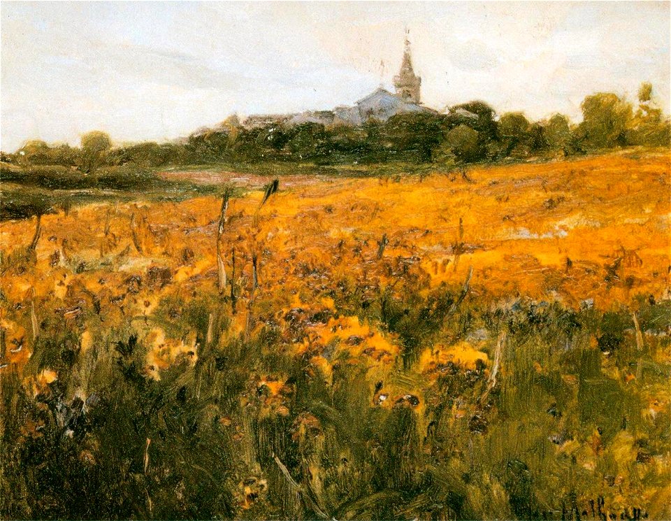 Paisagem, 1908 (Figueiró dos Vinhos, Portugal) (3653230847)