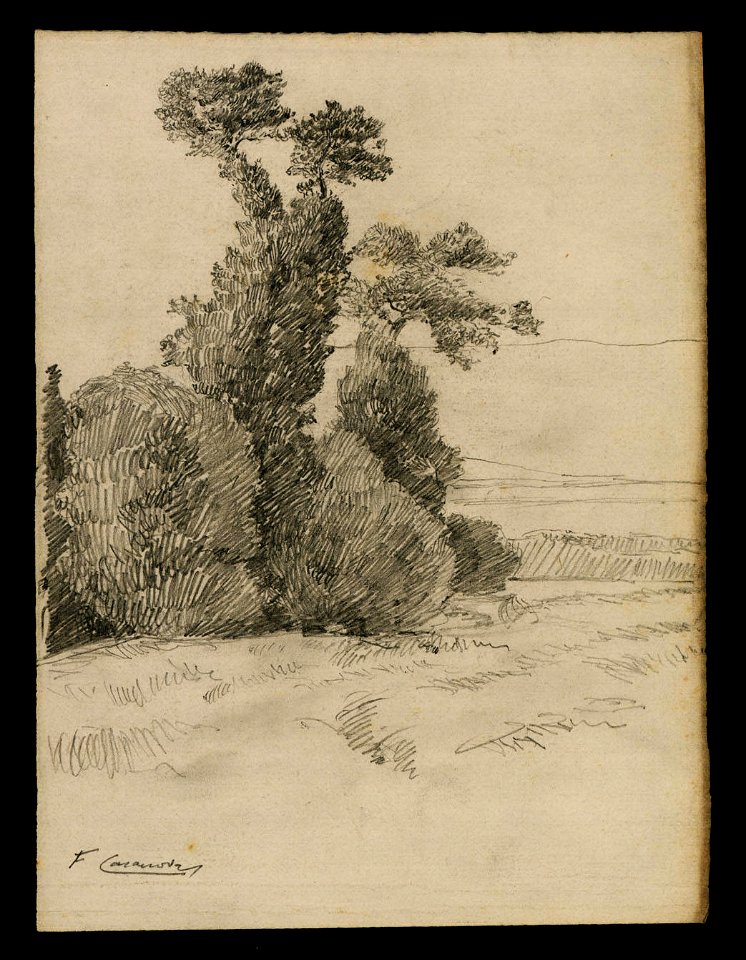Paisatge amb arbres