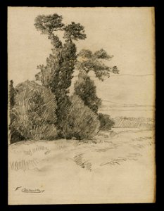 Paisatge amb arbres