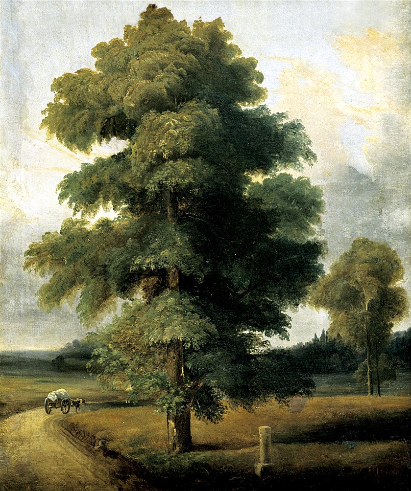 Paisaje con árbol