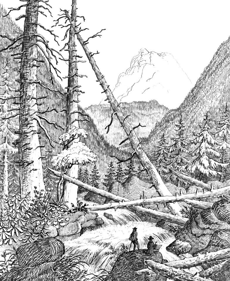 Page180-PL Stęczyński-Tatry w dwudziestu czterech obrazach - Dolna Tyha (Cicha)