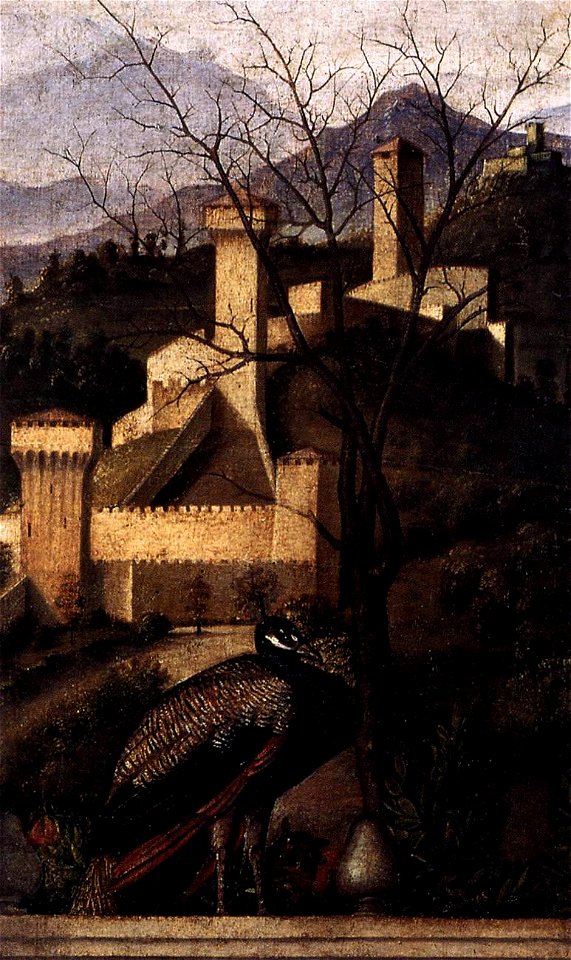 Pala barbarigo 04