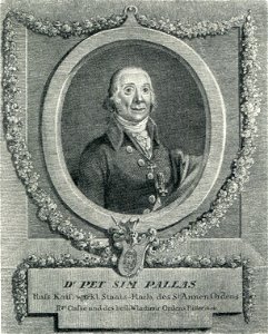 Pallas P S
