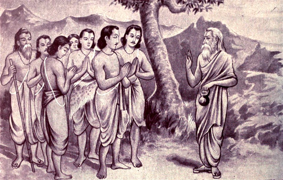 Pandavas meet Saint Vyasa