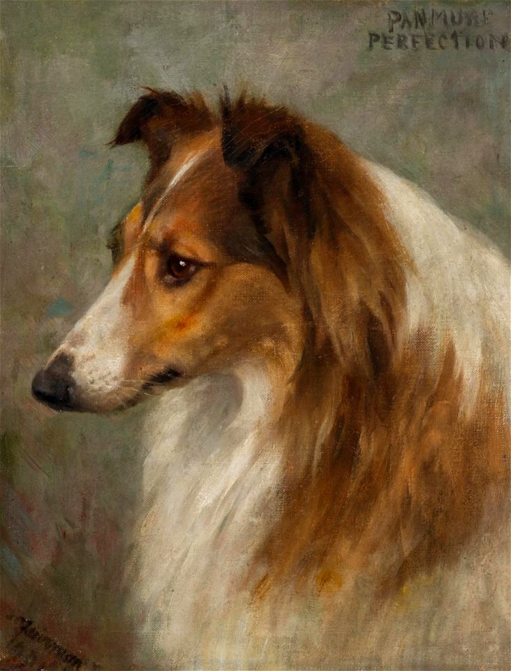 Panmore Perfection by Frances C. Fairman