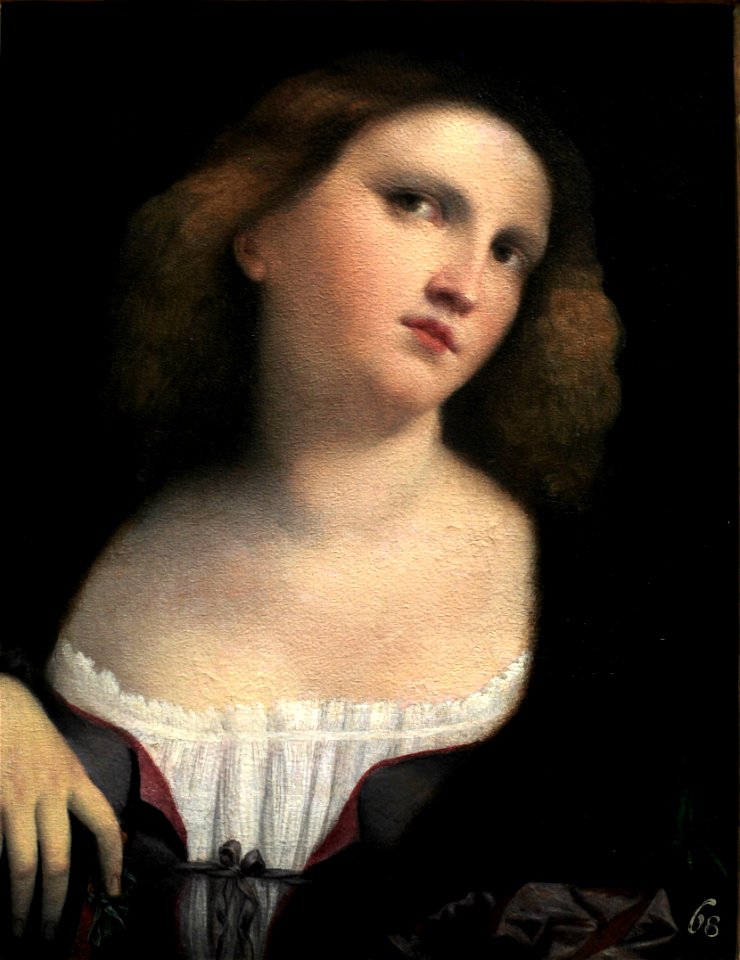 Portrait of a woman-Palma Vecchio-MBA Lyon A195-IMG 0317