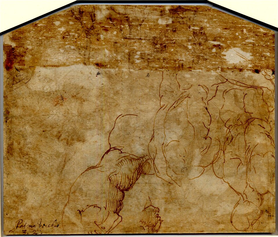 Palma Vecchio - Verso Studies of a nude man, seen from behind, 1895,0915.810