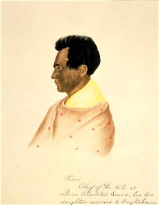 Panni. Chief of the tribe at Queen Charlotte's sound, has two daughters married to Englishmen, watercolour & gum arabic by Isaac Coates