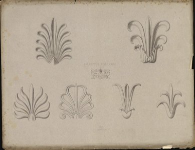 Palmettes, Style Grec, objectnr A 59178