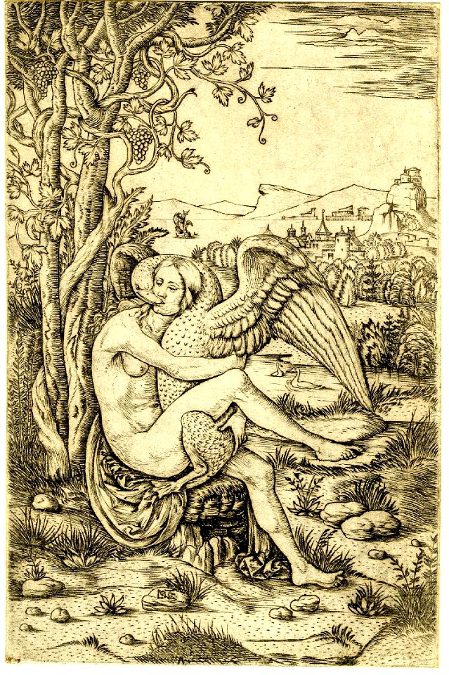 Palumba leda swan