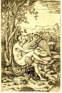 Palumba leda swan