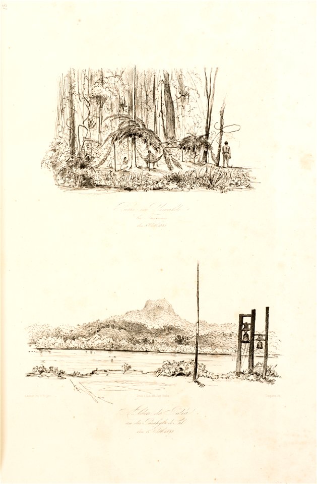 Palme auf dem Wege zur Gavia den 21 tem, Octb. 1842 - Die Gavia von Boa vista aus den 21 October 1842, da Coleção Brasiliana Iconográfica