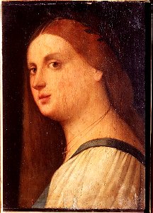 Palma il Vecchio - ritratto di donna incoronata d'alloro (Laura ), 00297475. Free illustration for personal and commercial use.