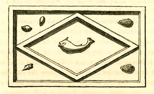 Panel from the stadium of Pendelissu in Pisidia - Fellows Charles - 1839