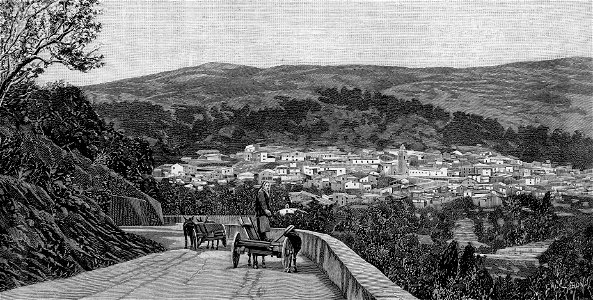 Panorama di Aritzo (xilografia)