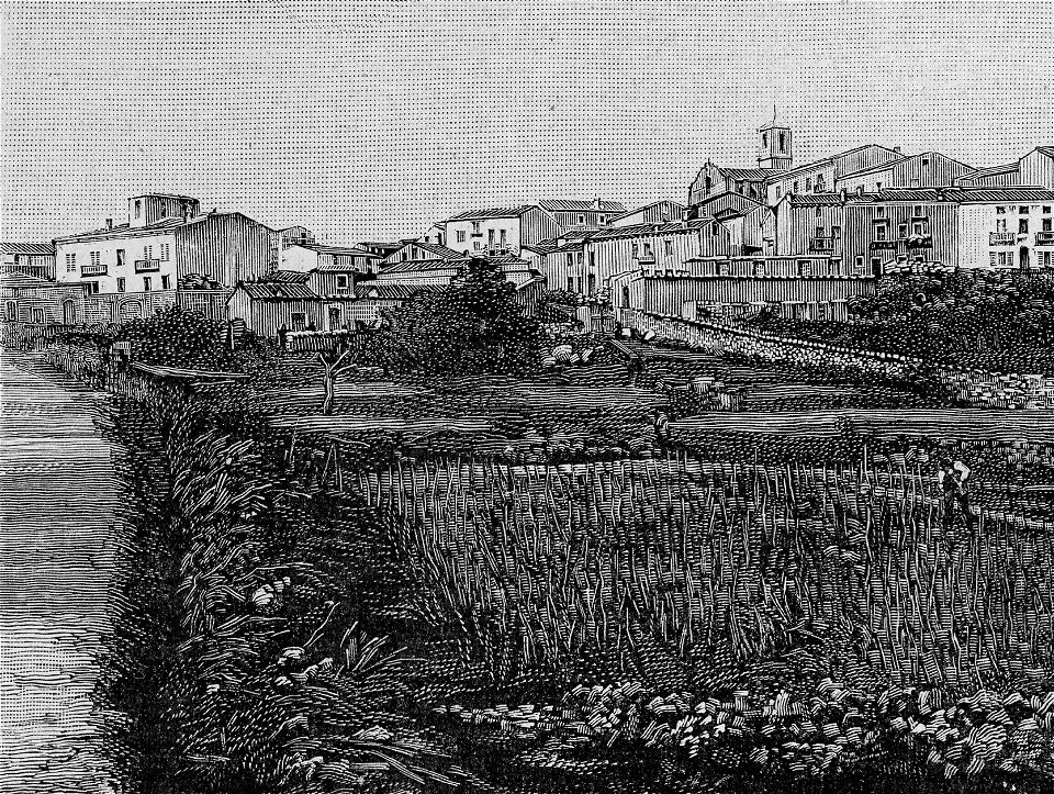 Panorama di Calangianus (xilografia)