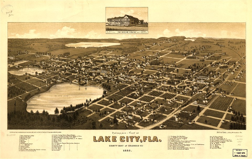 Panoramic-view of Lake City, Fla. county seat of Columbia Cty. 1885. LOC 75693183