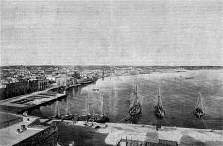 Panorama di Molfetta (xilografia)