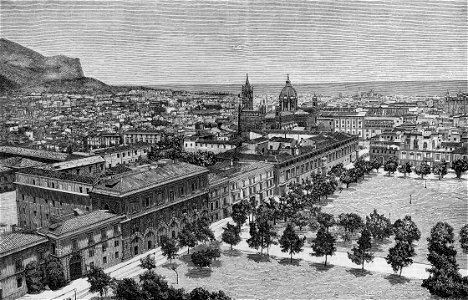 Panorama di Palermo (xilografia)