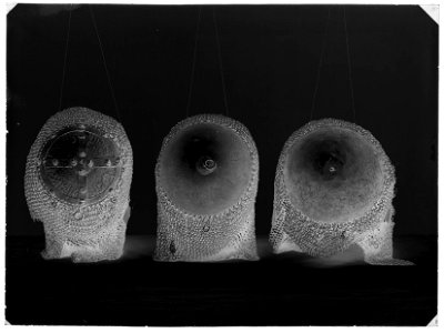 Pansarhuva - Livrustkammaren - 59977-negative
