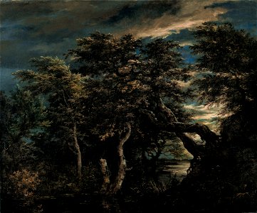 Pantano en un bosque al anochecer - Ruisdael