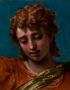 Paolo Caliari, called Paolo Veronese - Head of Saint Michael, from the Petrobelli Altarpiece - Google Art Project
