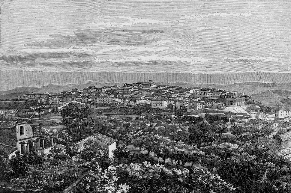 Panorama di Catanzaro (xilografia)