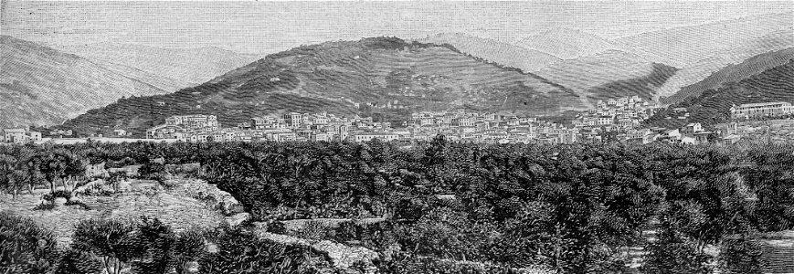 Panorama di Nicastro (xilografia)