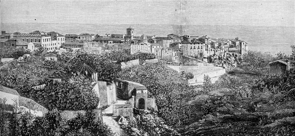 Panorama di Tropea (xilografia)