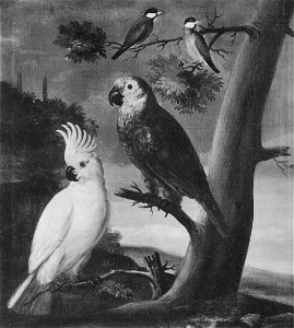 Papegojor och andra fåglar (David von Cöln) - Nationalmuseum - 15301