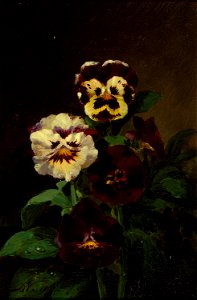 Pansies-John Williamson-1862