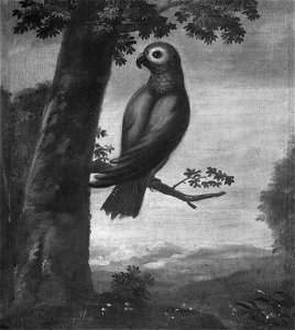 Papegoja (David Kock) - Nationalmuseum - 15297